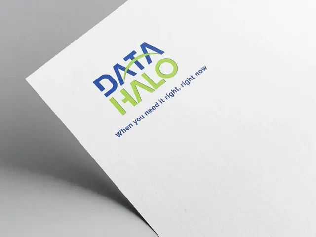 Data Halo logo printed on paper