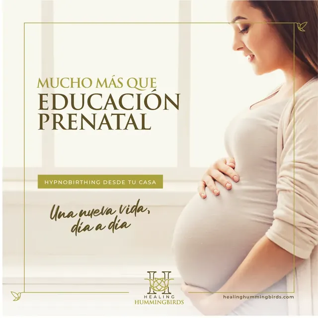 Healing Hummingbirds post with a pregnant woman and the line Mucho más que educación prenatal