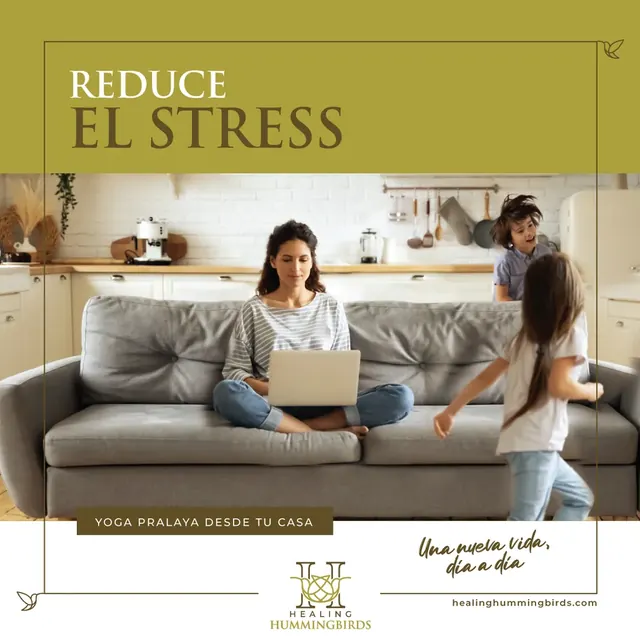 Healing Hummingbirds post with a woman on a laptop at home and the line Reduce el stress