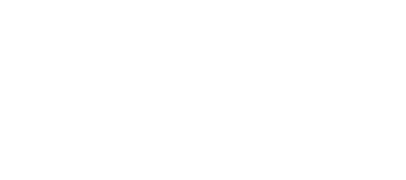 LoboCompany Marketing For Local Businesses